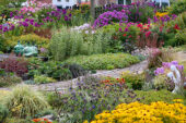 Zomerbloementuin