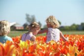 Three girls in tulip field