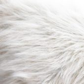 Bright White serie: White furry fabric
