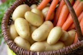 Potatoes and carrots in basket
