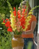Woman arranging Gladiolus bouquet