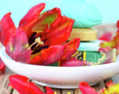 Fragrant fantasies serie: Red tulip on soap dish