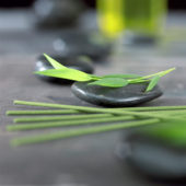 Bamboo leaf on hot stone