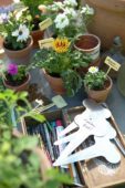 Wooden box with pencils and labels, pots with annuals
