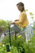 Woman watering summer garden