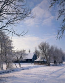 Snowy farm