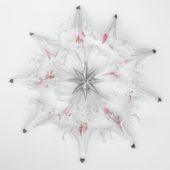 Nerine flowers