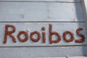 Rooibos thee