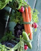 Vegetable wreath