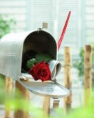 Rode rozen in brievenbus