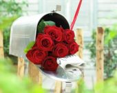 Red roses in mail box