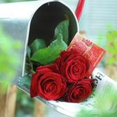 Red roses in mail box