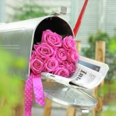 Pink roses in mail box