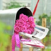 Roze rozen in brievenbus