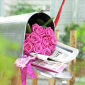 Pink roses in mailbox