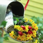 Spring bouquet in mailbox