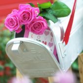 Roze rozen in brievenbus
