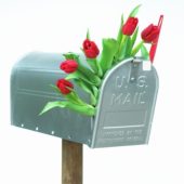 Rode tulpen in brievenbus
