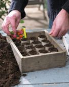 Filling paper seed pots with seeds