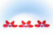 Tulip petals