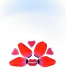 Tulip petals