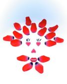 Tulip petals