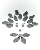 Tulip petals
