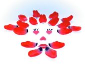 Tulip petals