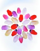 Tulip petals