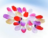 Tulip petals