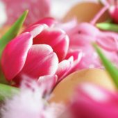 Tulip in Easter arrangement