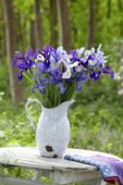 Irisses in vase