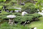 Japanse tuin
