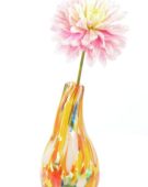 Dahlia Pink Magic