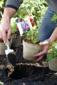 Planting eco pots