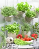 Herbs and vegetables