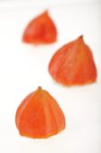 Physalis alkekengi