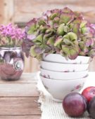 Hydrangea in bowl