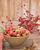 Crabapples and rose hips