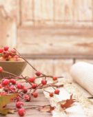 Crabapples and rose hips