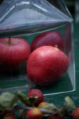 Apples in glass cloche