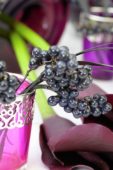 Ophiopogon berries