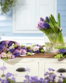 Hyacinths in vase