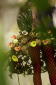 Floral arrangement