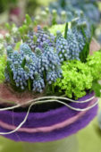 Muscari arrangement