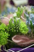 Muscari arrangement