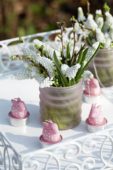Muscari Siberian Tiger ®