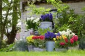 Spring containers