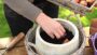 VIDEO Planting flower bulbs in pots
