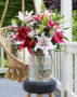 Lilium One Love, Lilium Dignity, Lilium Special News, Lilium Lovely Day, Lilium Chartwell, Lilium King Solomon
